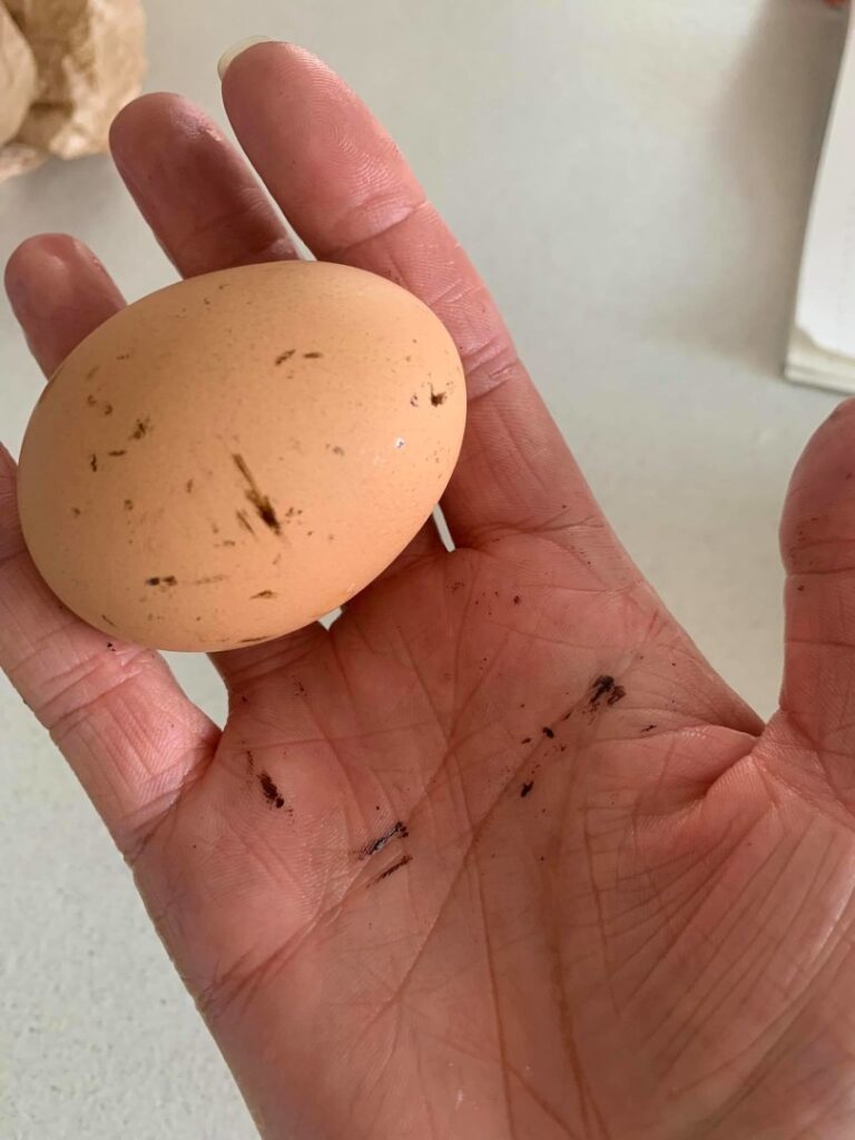 Vilniečiams daugiau nei mėnesį tiekiamas nešvarus geriamas vanduo / Skaitytojos Ramintos nuotr.