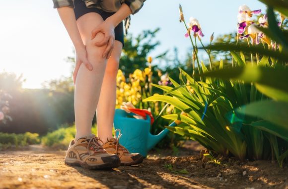 Ką daryti, įgėlus bitei, širšei ar vapsvai