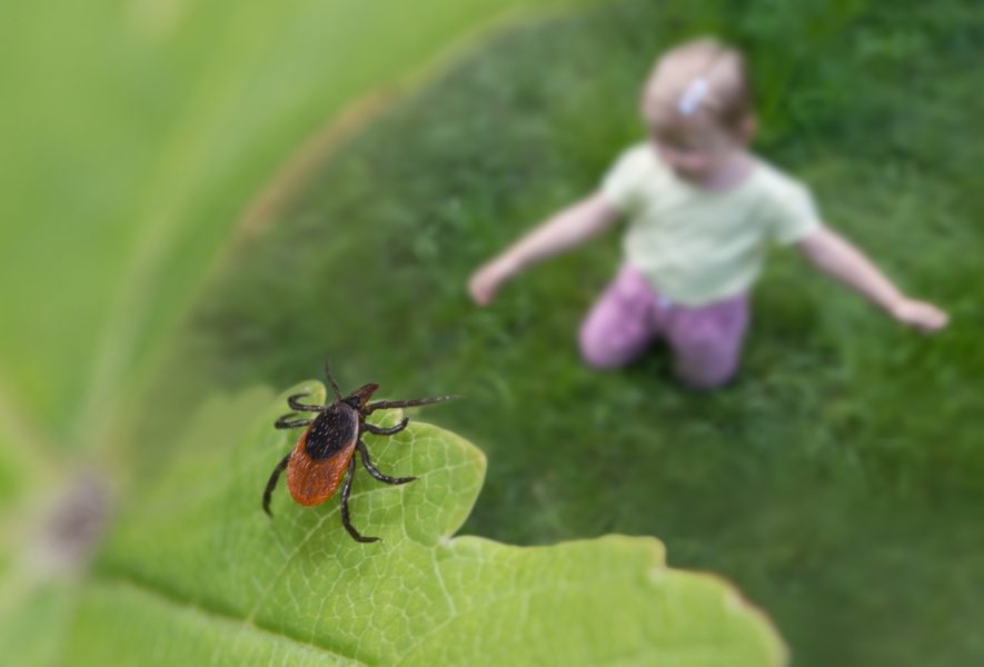 Erkinis encefalitas vaikams