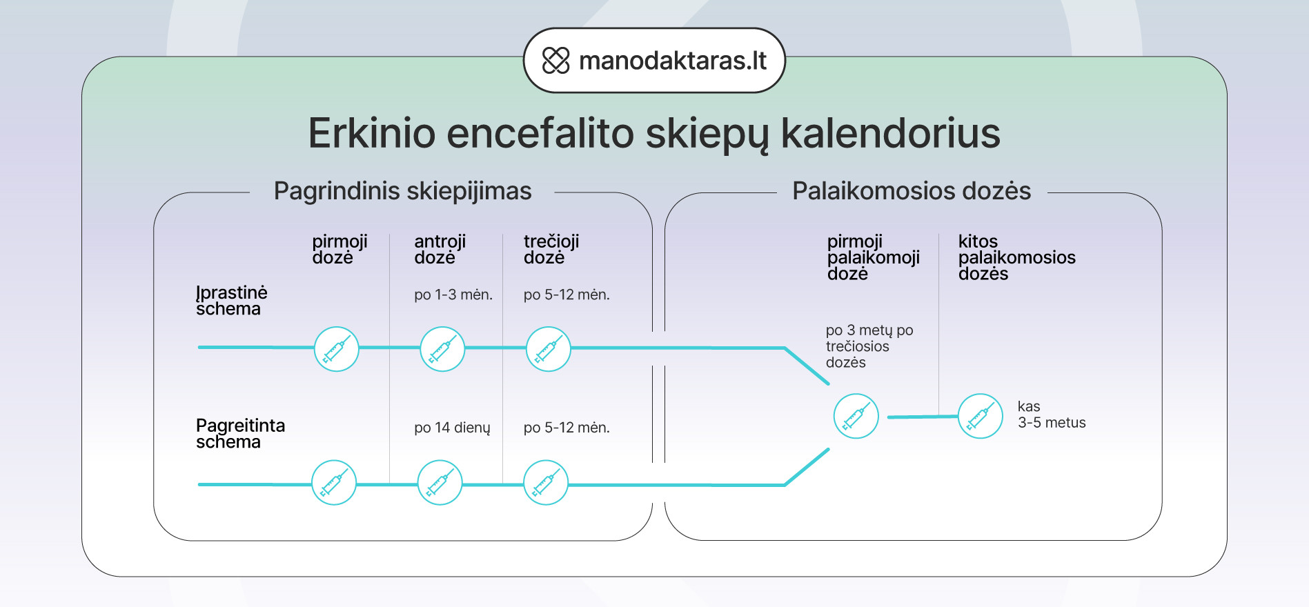 Skiepai nuo erkinio encefalito - schema